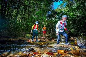 BIB: 5017
                            <button type="button" onclick="openModal(21765439)" class="btn btn-primary btn-sm float-right btn-popup" data-toggle="modal" data-target=".modal-high-quality">
                        <i class="fas fa-shopping-cart"></i> Add to Cart
                    </button>
                                            <button type="button" onclick="isThisMe(21765439, true)" class="btn btn-success btn-sm float-right btn-popup btn-isme hidden" data-toggle="tooltip" data-placement="bottom" title="นี่คือรูปของคุณใช่ไหม คลิกที่นี่เพื่อเอาเข้าอัลบั้ม">
                        <i class="fas fa-plus"></i> Add to album
                    </button>
                    <button type="button" onclick="isThisMe(21765439, false)" class="btn btn-warning btn-sm float-right btn-popup btn-isnotme hidden">
                        <i class="fas fa-ban"></i> Remove from album
                    </button>